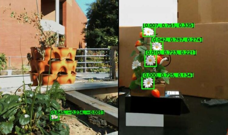 На смену зубной щетке для опыления урожая в сити-ферме приходят роботы - фото