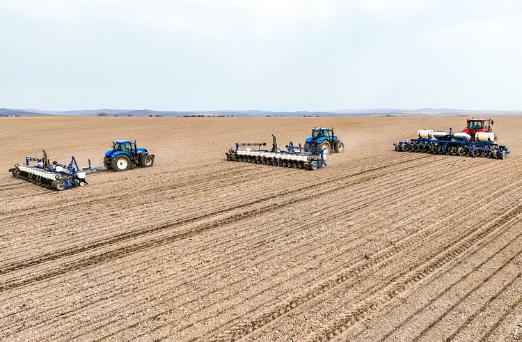 Яровой сев 2026 в Приморье стартует в апреле: обеспеченность семенами ранних зерновых и сои 100% - фото