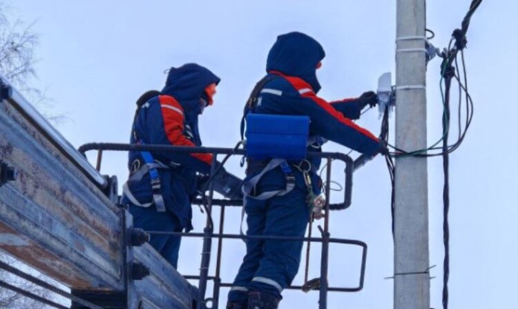 ​Как поддерживают ярославские СНТ: электросети модернизируют в 8 садоводческих товариществах в этом году - фото