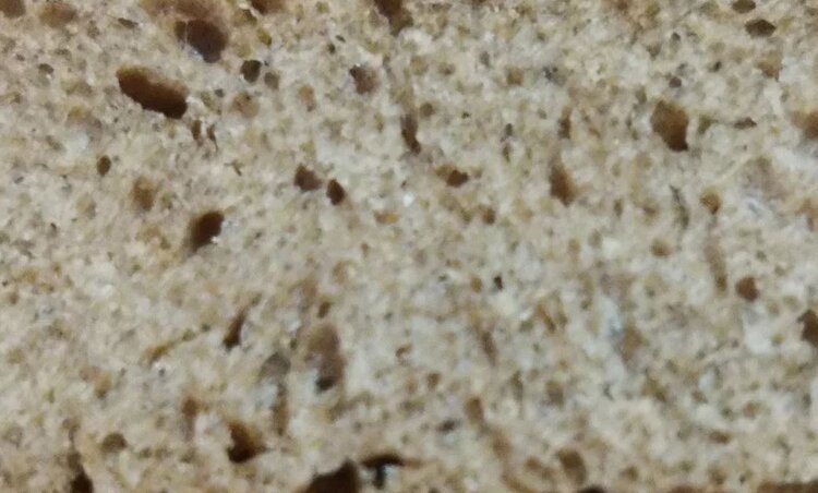 В аукционе по продаже экологически чистого хлеба участвовала кернза: перспективы многолетней пшеницы - фото