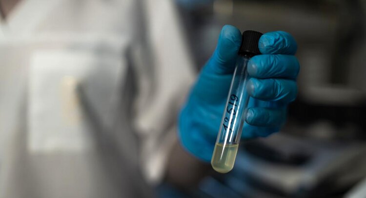 Растительные масла из Омской области хорошо покупают в Китае