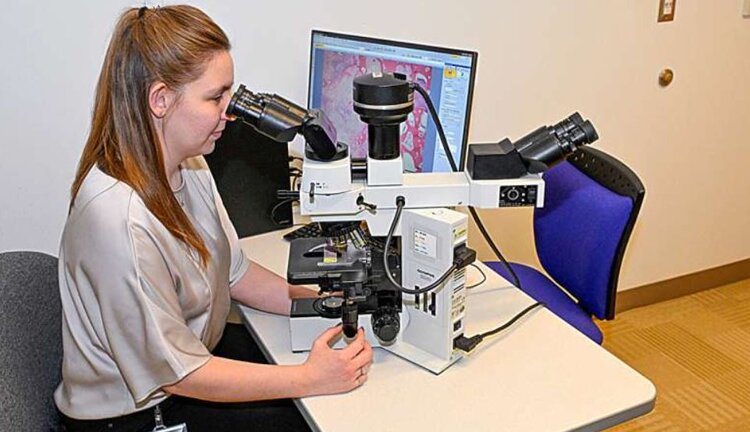 Вклад кошек в изучение рака у людей огромен: от домашних животных до прецизионной медицины