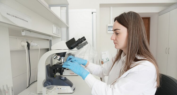 На Ставрополье завершается проверка семян к яровому севу 2026: аграрии выбрали отечественную селекцию - фото