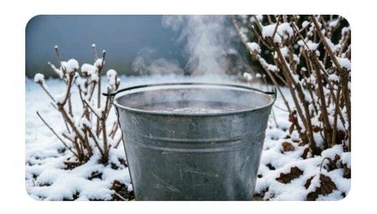 До каких чисел в марте можно «шпарить» смородину и что попутно обдать кипятком - фото