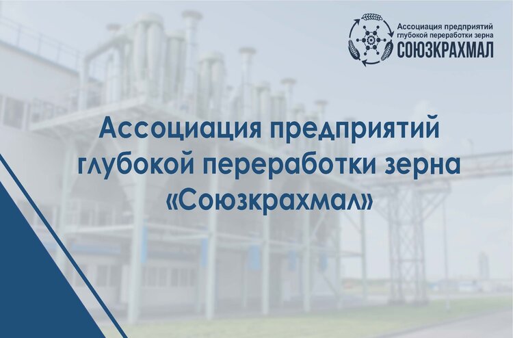 Итоги 2025 года на рынке глубокой переработки зерна в России