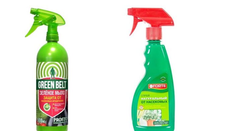 Как избавиться от насекомых в комнатных растениях и предупредить их появление