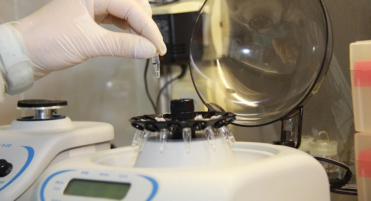 Российский лецитин отправляется за рубеж с сертификатами здоровья - фото