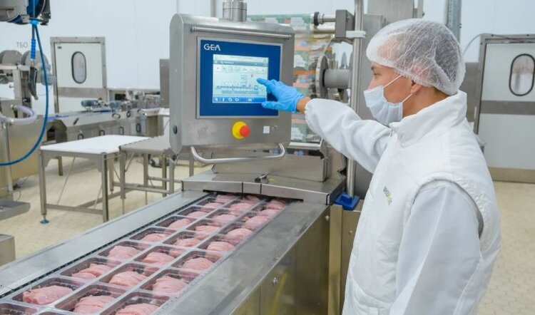 В России растет производство мяса индейки, а лидирует «Дамате» - фото