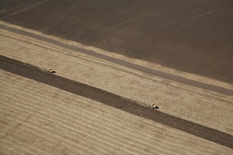 Подкормка озимых по мерзлоталой земле стартовала в Волгоградской области - фото