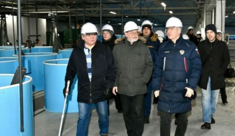 Селекцентр Выгского рыбзавода намерен выпускать до 25 млн штук живой икры радужной форели