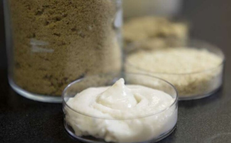 Сыр из риса открывает новый рынок для производителей «белого золота» - фото