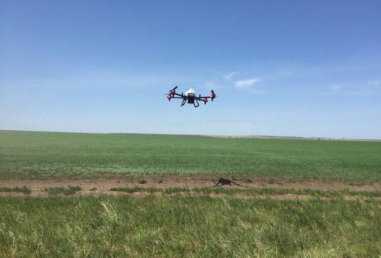 Агродроны обработают в Алтайском крае почти 85 тысяч гектаров полей в этом году - фото