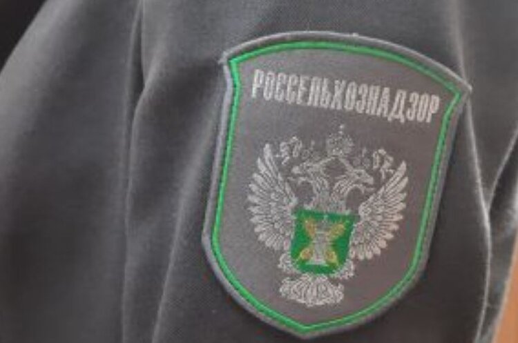 С начала 2026 года экспорт зерновой продукции из Самарской области резко пошел вверх - фото