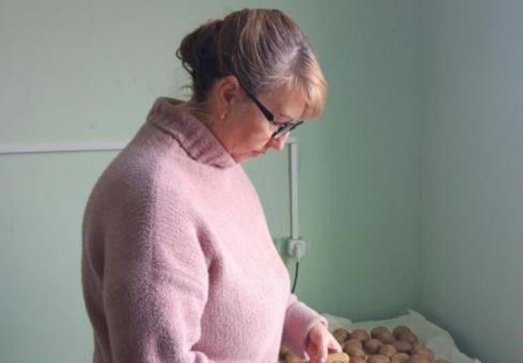 Почти 2,5 тысячи тонн семенного картофеля проверили специалисты Астраханского филиала Россельхозцентра