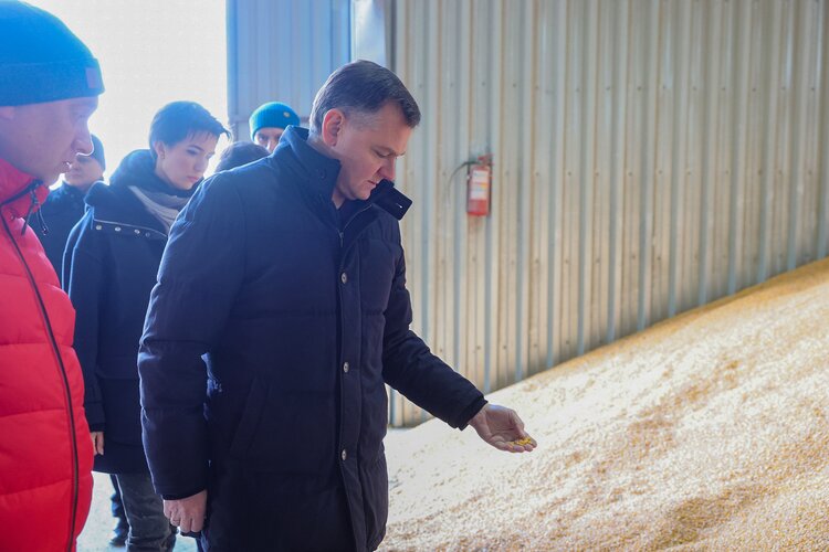 Ростовское сельхозпредприятие «Луч» - крупный производитель кукурузы - инвестирует в мелиорацию - фото