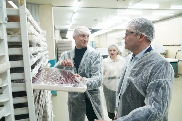 Дикоросы - это выгодно: в Кузбассе формируют адресную систему господдержки агропереработчиков - фото