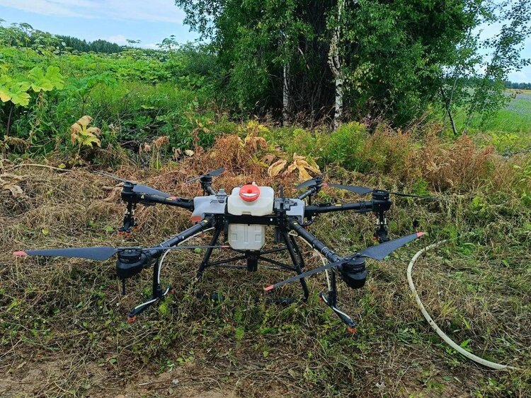 Агродроны, доильные роботы и кукуруза: новаторство в сельском хозяйстве Коми