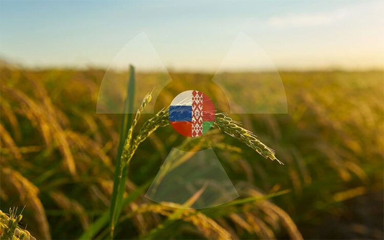 В возвращении чернобыльских земель в сельхозоборот участвует РосАгрохимслужба: проект России и Беларуси - фото