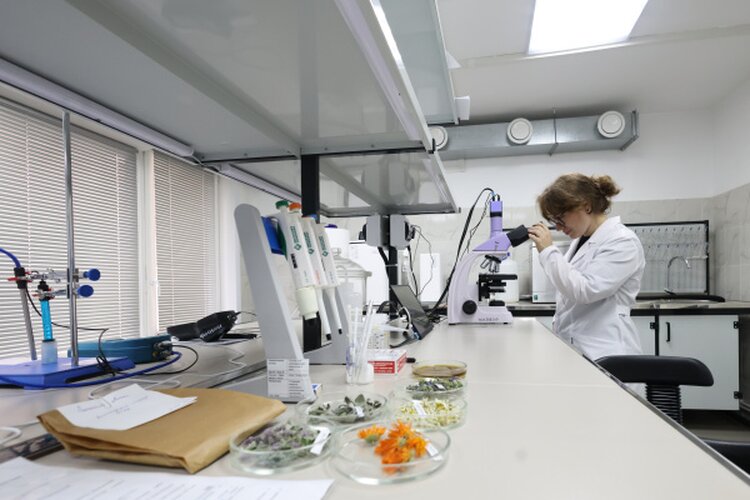 Повысить квалификацию по лекарственному растениеводству можно в Бурятской ГСХА - фото