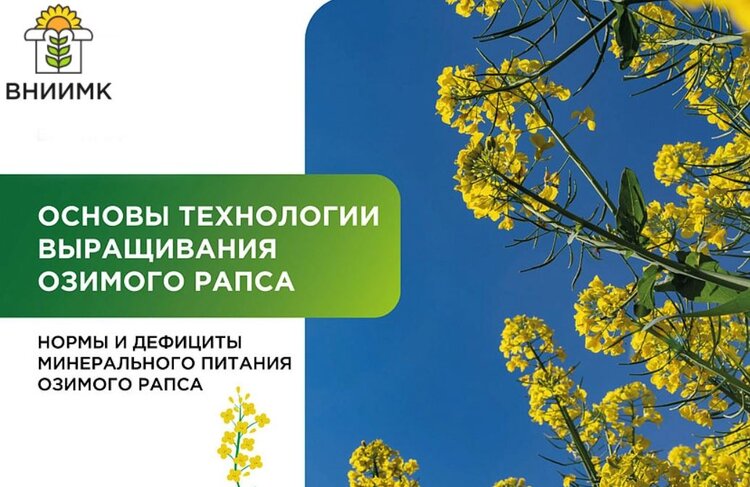 Определитель дефицита питания озимого рапса и подкормки для его устранения от экспертов ВНИИМК