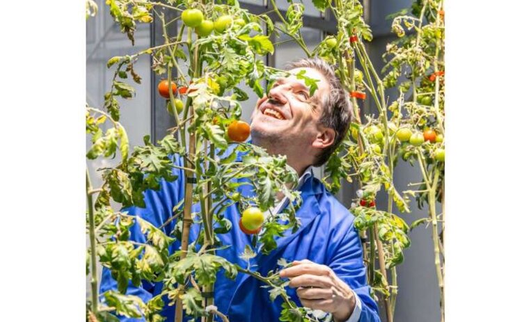 В «самооплодотворении» бобовых ризобиями ключевую роль играет один малоизученный белок - фото