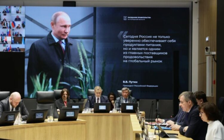 Белгородская область засеет чуть более 1,3 млн гектаров - фото