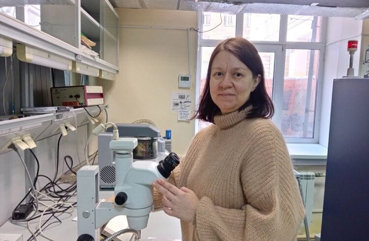 Удобрения на основе нанооксидов цинка презентовали ученые ЮУрГУ 