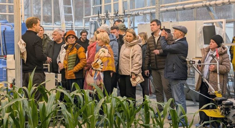 Селекция отечественной кукурузы: стратегия и достижения