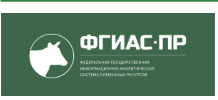 Более 1,7 тысячи голов племенного молодняка КРС реализовали липецкие хозяйства в прошлом году