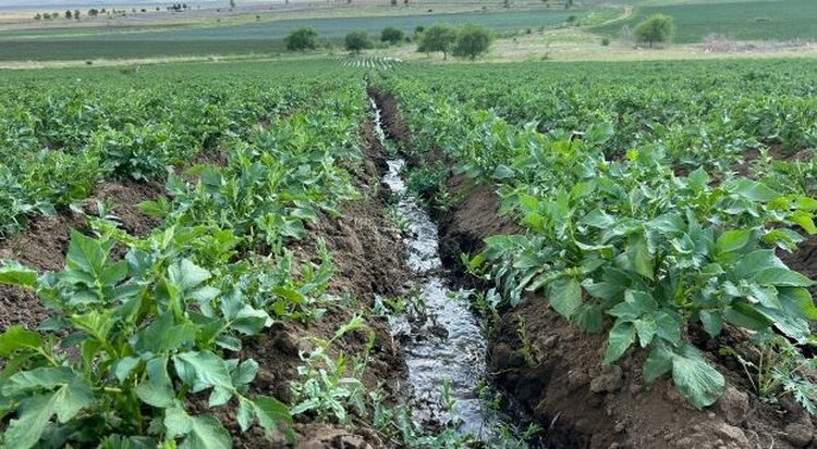 Фермеры Бурятии активизируют работу по расширению орошаемых земель - фото