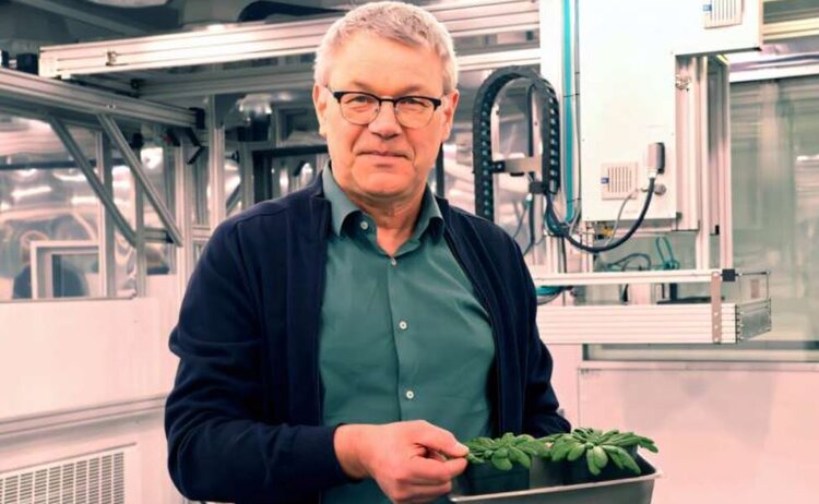 Электронная микроскопия позволяет составить карту белковых ландшафтов, определяющих фотосинтез - фото