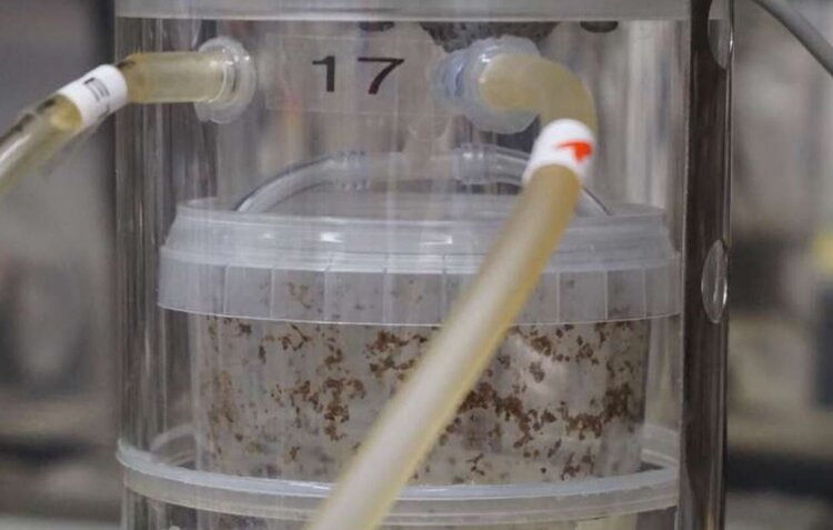 Как понять выброс парниковых газов от насекомоводства черной львинки - фото