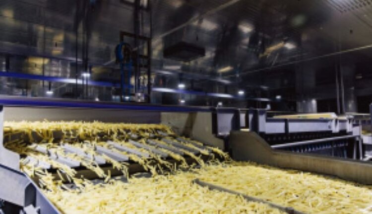 Липецкая область является лидером по производству замороженного картофеля в России с «Ви Фрай» - фото