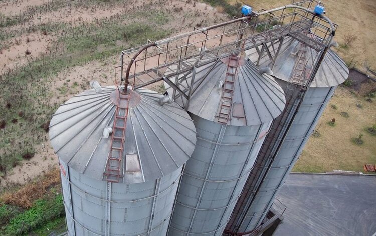 Аргентина оценила свои мукомольные мощности по новаторской методике - фото