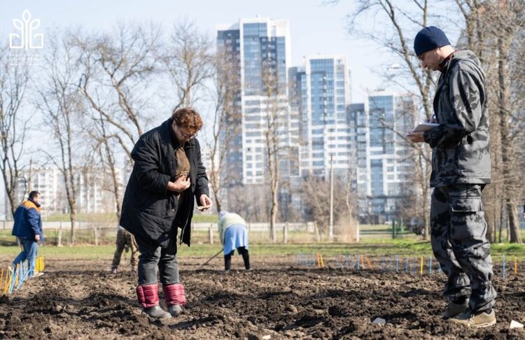 Масштабное испытание пшеницы и тритикале на устойчивость к желтой ржавчине проводят в НЦЗ Лукьяненко - фото