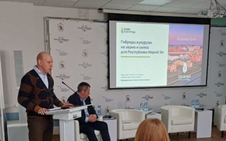 Кукурузные посевы в Марий Эл выросли в 2,5 раза: ВНИИ кукурузы поддерживает «царицу полей» региона - фото