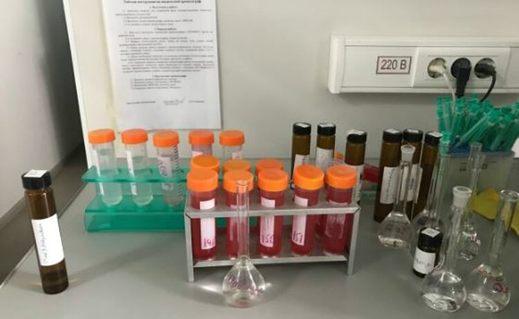 Проверка качества протравителей – один из важных шагов в защите урожая