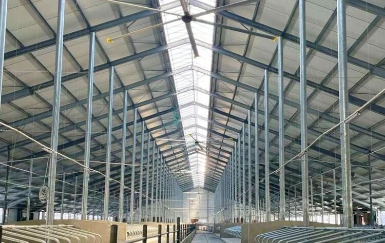 В Подмосковье запустили молочно-товарный комплекс на 800 дойных коров