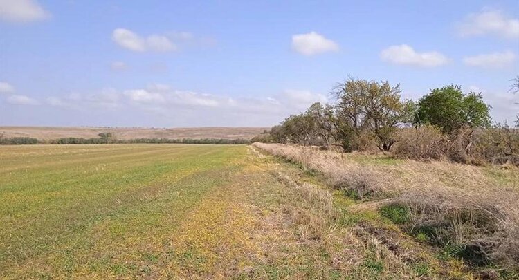 Что такое землевание малопродуктивных сельскохозяйственных угодий - фото