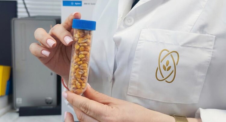 Турция - главный покупатель российской кукурузы - нарастила закупки в начале 2026 года