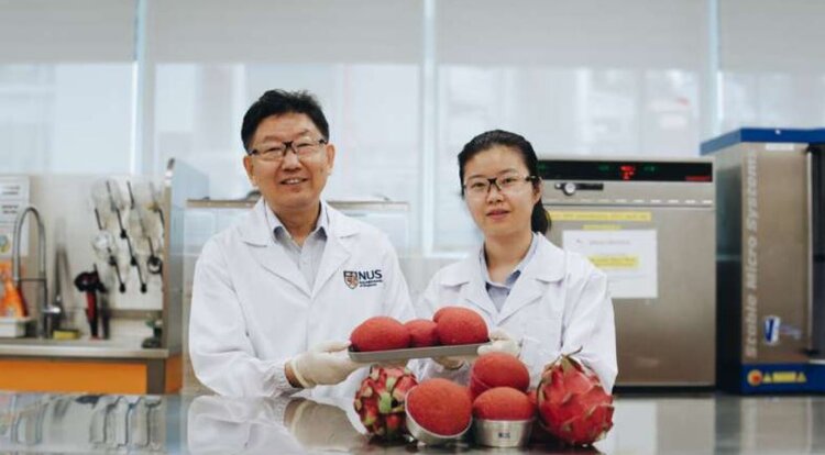 Пользу хлеба для здоровья повышает кожура драконова фрукта - фото