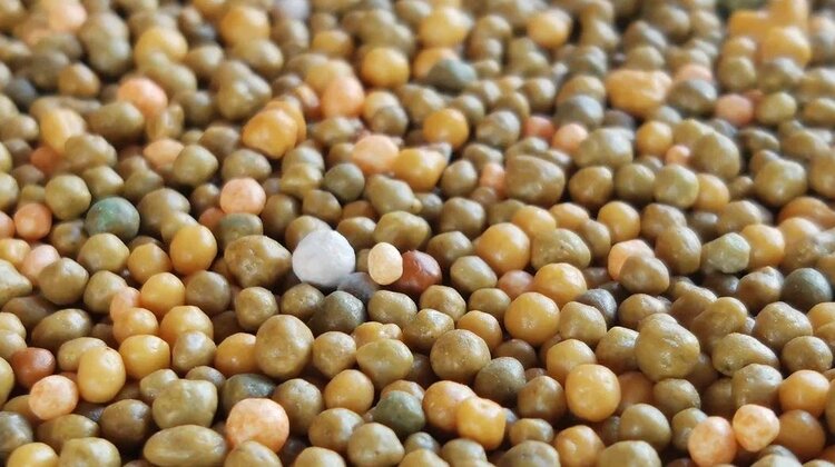 Игра удобрений: посевная близко - фото