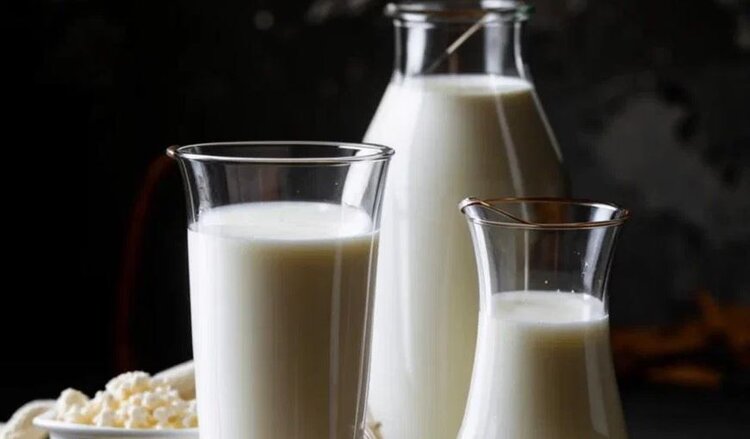 Свыше 900 млн рублей составляют инвестиции в крупный молочно-товарный комплекса в Пермской области - фото