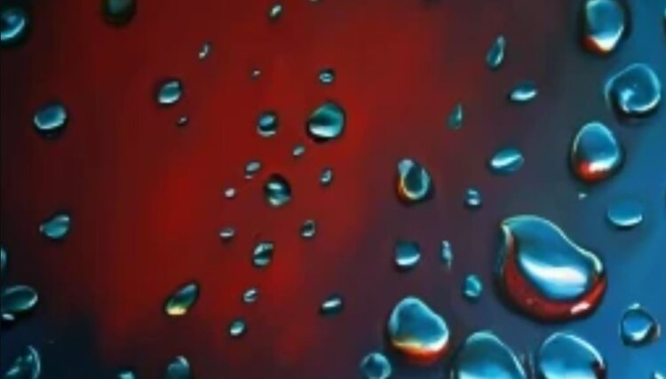 Скоро отправители контрафактных пестицидов в Россию не получат свой товар обратно - фото