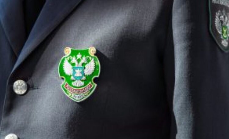 Новосибирским ветврачам приходят фейковые письма от Россельхознадзора прекратить выезды 