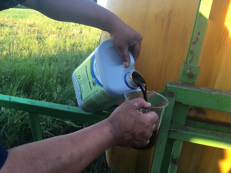 Текамин Макс Плюс в системе листовых подкормок: значение аминокислотного биостимулятора в стрессовых условиях