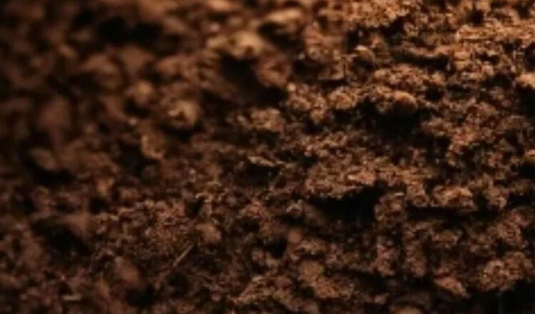 Волоконно-оптические датчики показывают негативное влияние интенсивной обработки на почву - фото