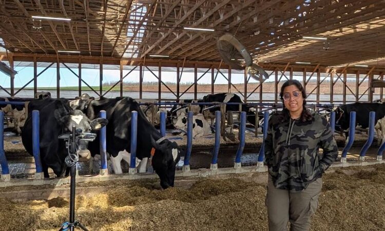 Переводчик мычания и измерение метана: для этого есть приложение