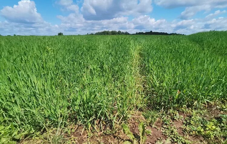 Сеть метеостанций расширится на все аграрные территории в России