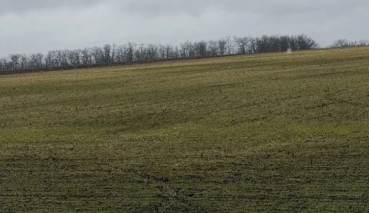 Виды на урожай 2026. На что рассчитывают аграрии ЛНР